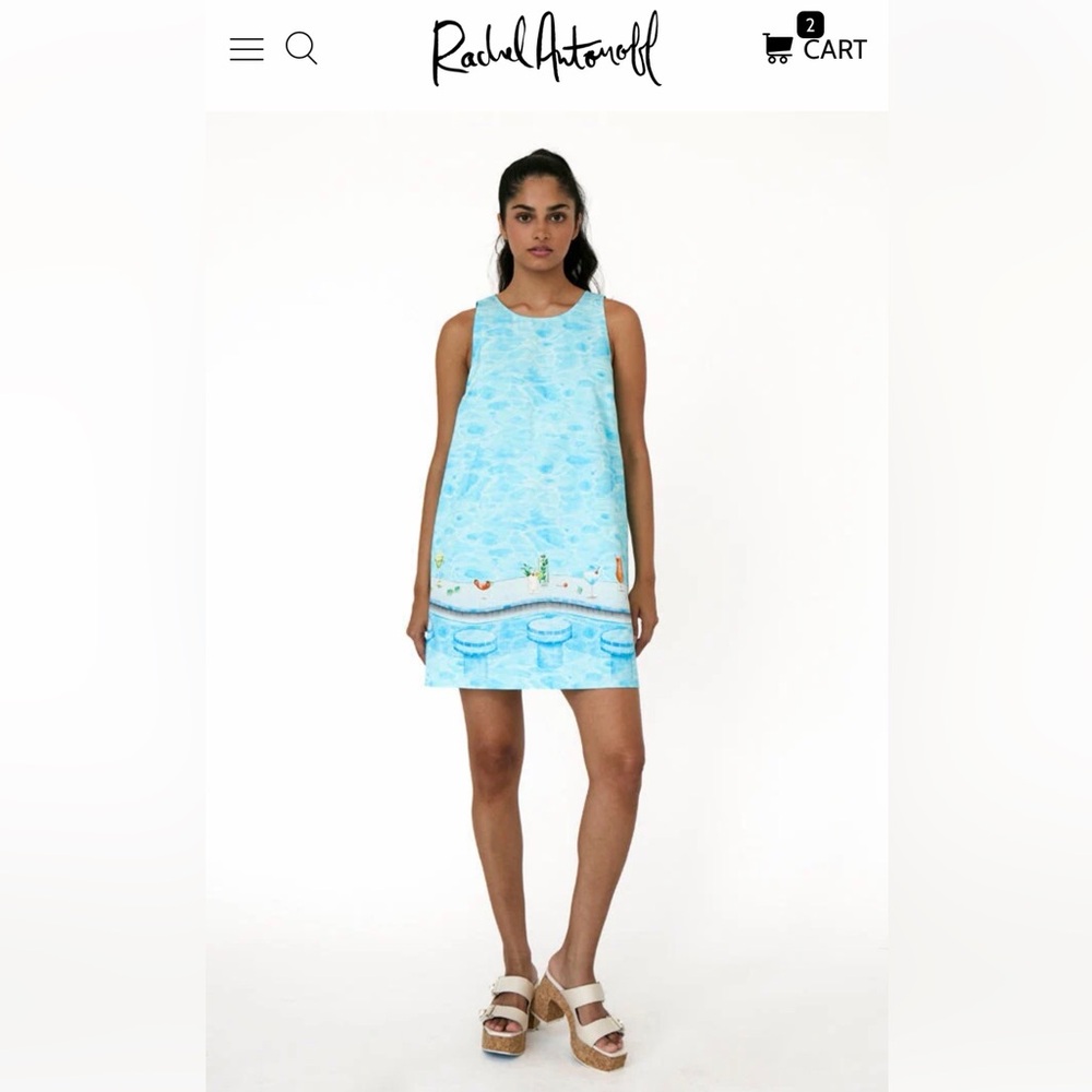 Rachel Antonoff Lola Blue Dress in PERFECT condition